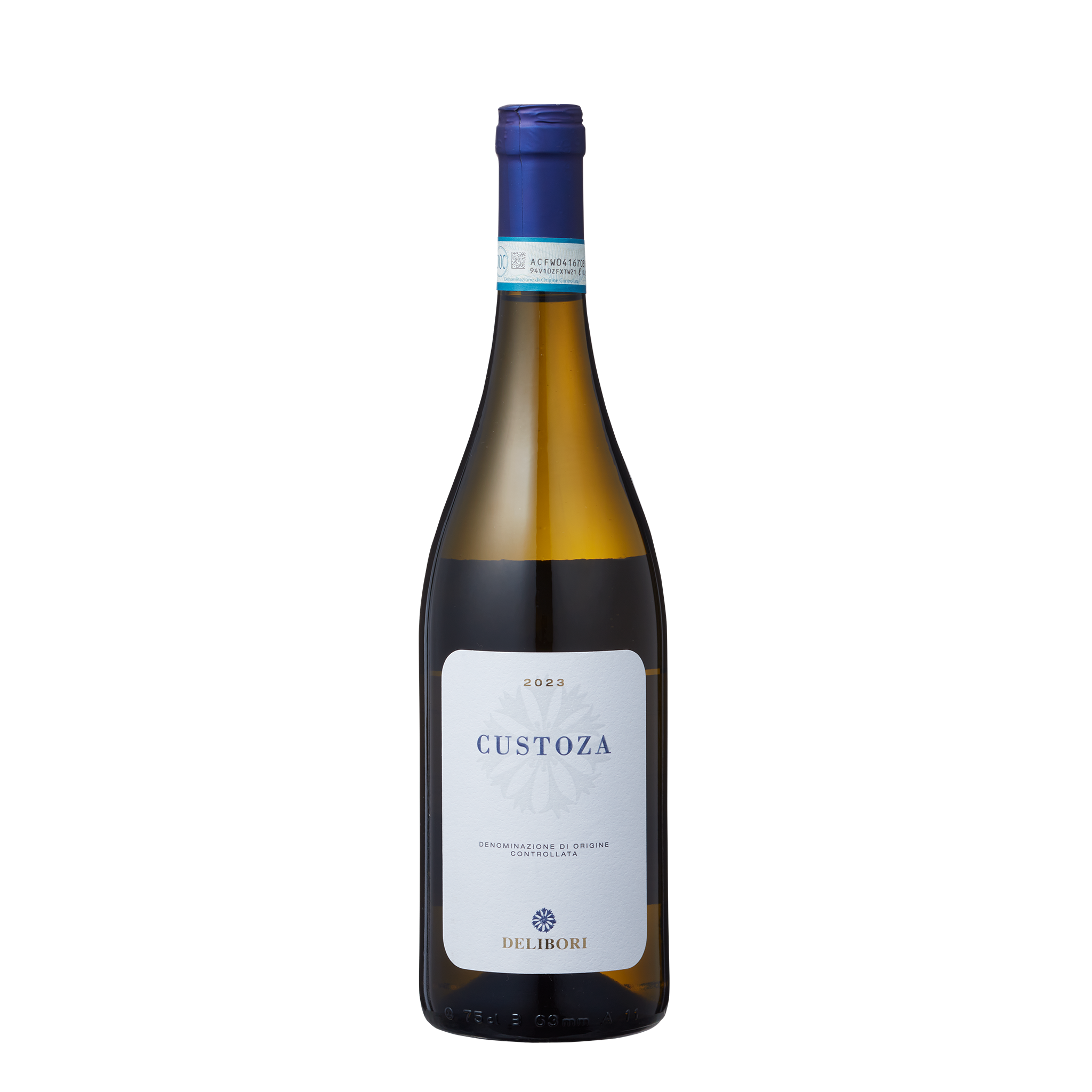 クストーザ 2023