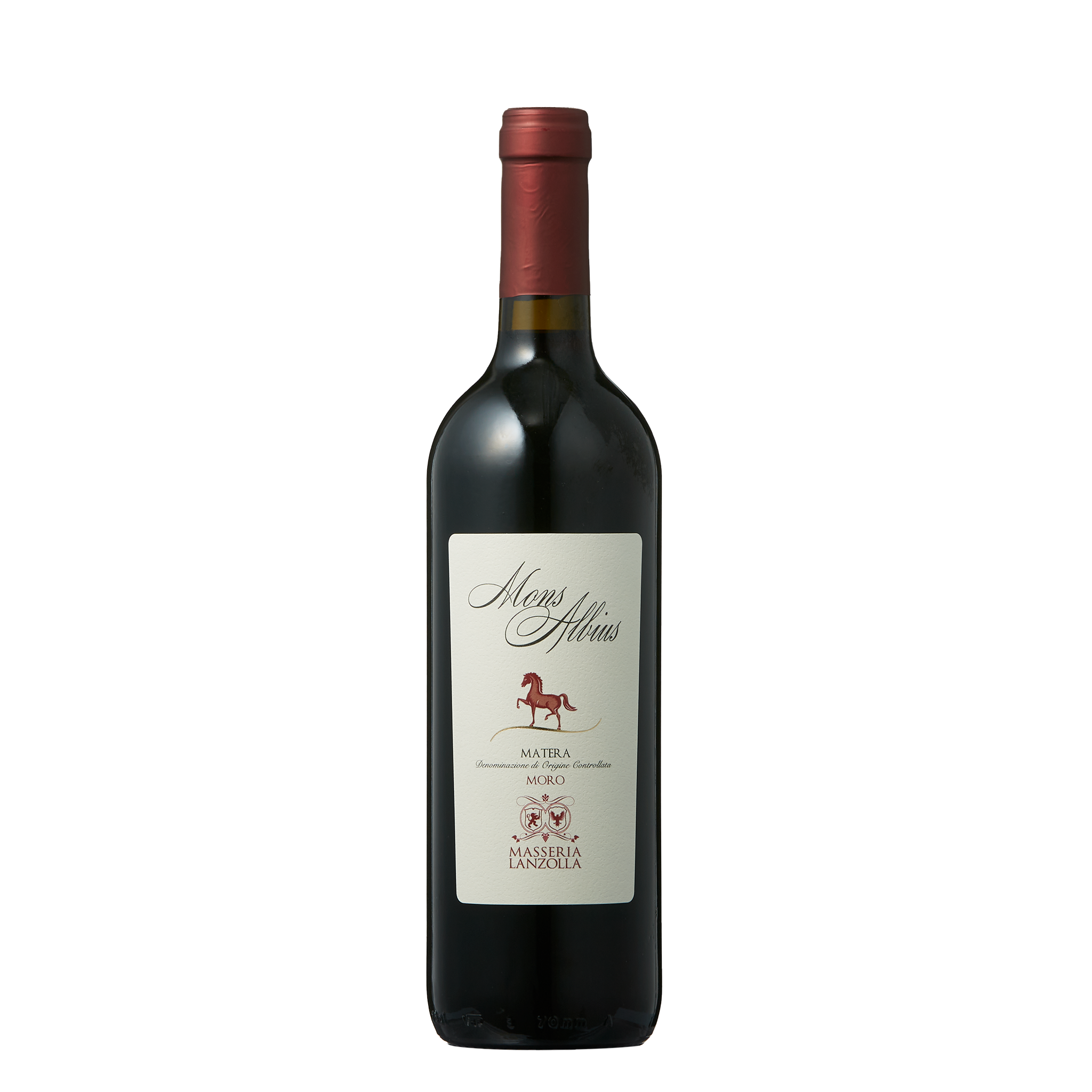 マテラ モンス・アルビウス 2018