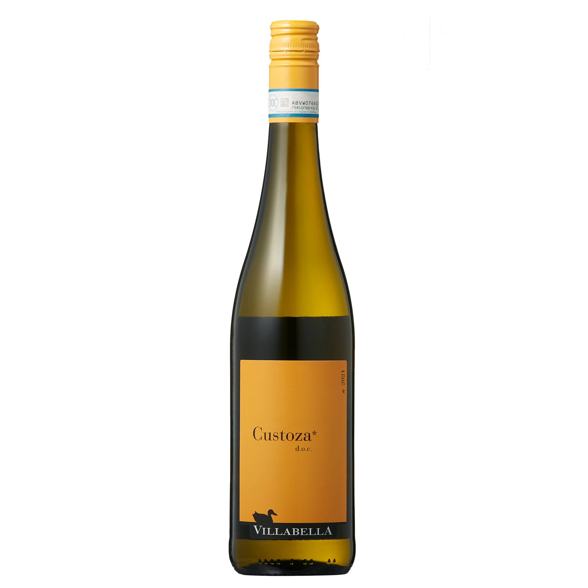 クストーザ 2023