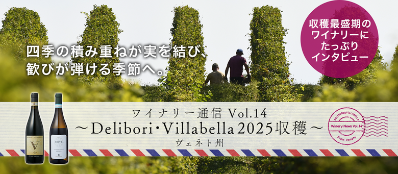 ワイナリー通信 Vol.14〜ヴェネト州 Delibori・Villabella 2025 収穫〜