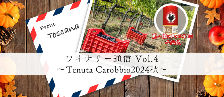ワイナリー通信 Vol.4 〜Tenuta Carobbio2024秋〜