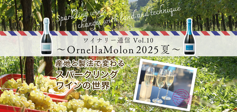 ワイナリー通信 Vol.10 〜OrnellaMolon2025夏〜