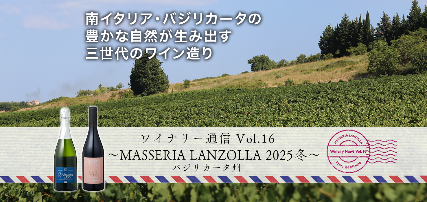 ワイナリー通信 Vol.16〜Masseria Lanzolla 2025冬〜