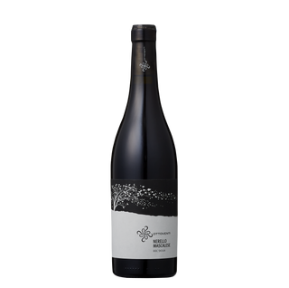 ネレッロ・マスカレーゼ 2023