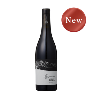 ネレッロ・マスカレーゼ 2023