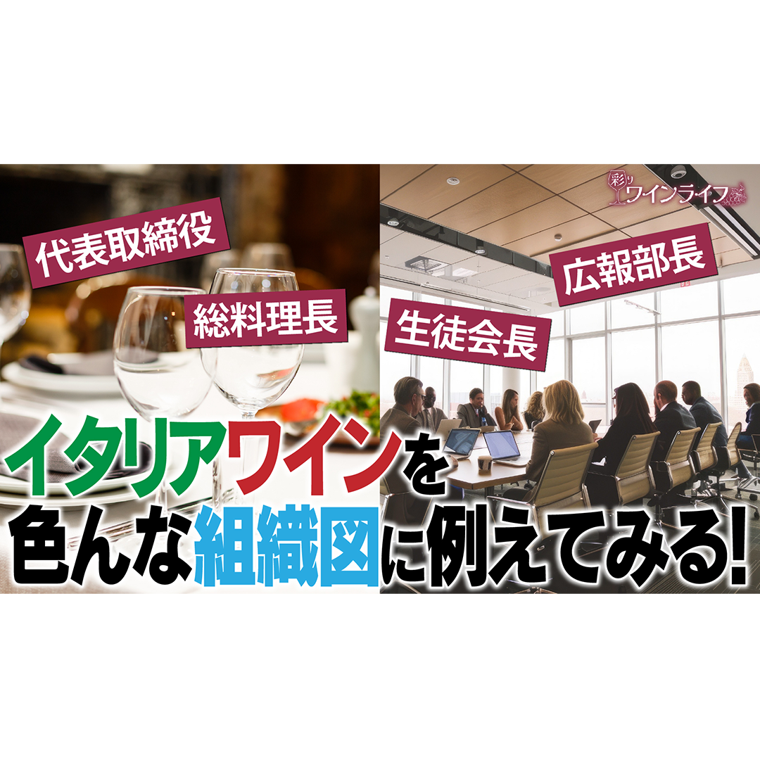 Thumbnail16